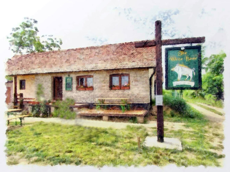 White Boar