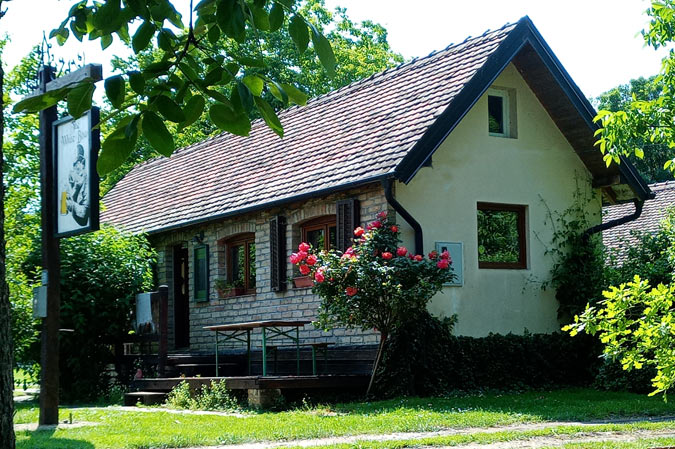 The White Boar