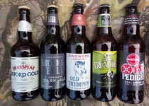 beers