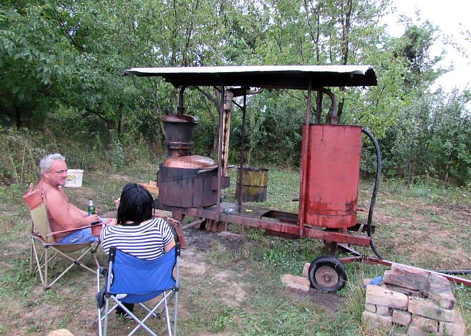 Plum Brandy